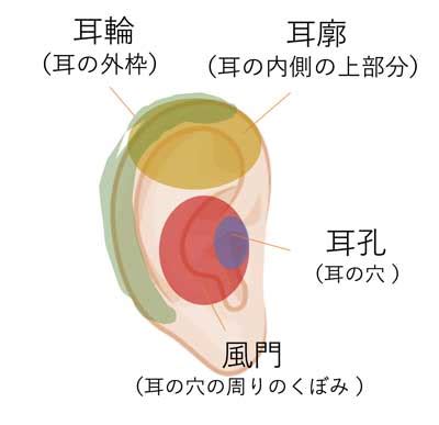 耳形相学|【耳占い】耳鑑定師が監修！基本の5タイプで性格や。